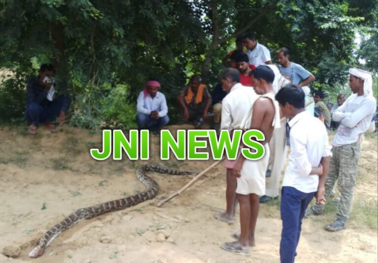 अजगर ने बकरा और ग्रामीणों ने अजगर को उतारा मौत के घाट