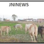 JNI5