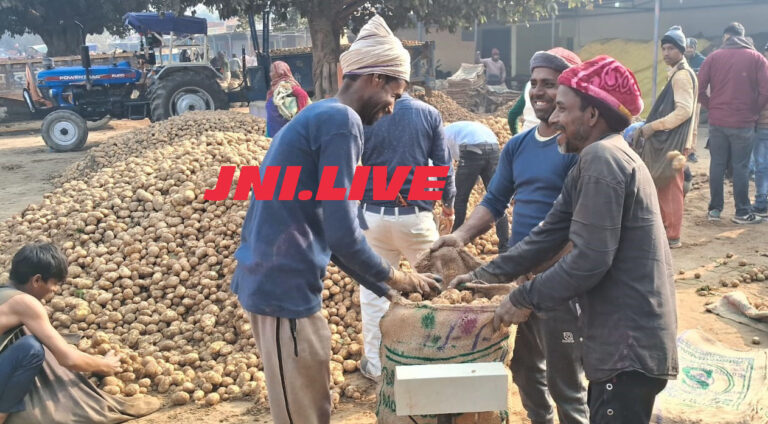सातनपुर मंडी में आलू के भाव स्थिर, 200 मोटर की रही आमद