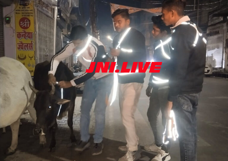 गायों को दुर्घटना से बचाने के लिए गले में बांधें रेडियम बैंड