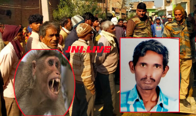 बंदरों के हमले से घायल किसान की मौत