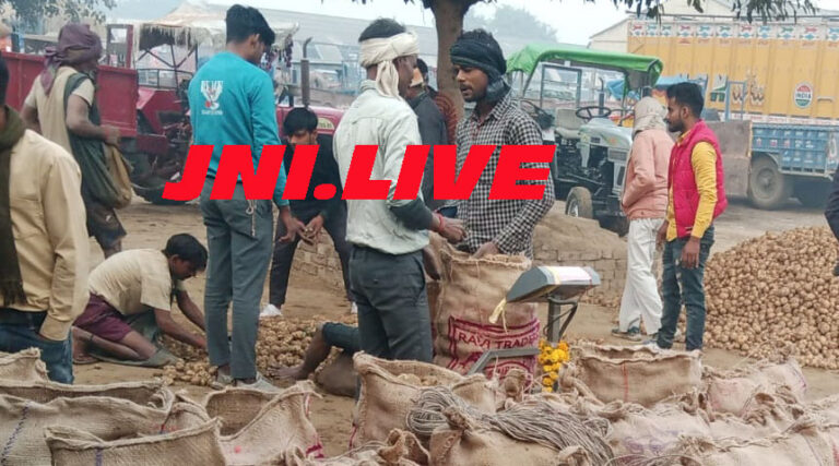 आलू 1251 से 1351 रुपए कुंतल हुआ बिक्री
