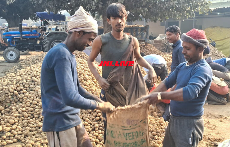 कोल्ड स्टोरेज का आलू बना मुसीबत, नये आलू की भी गिरी कीमत