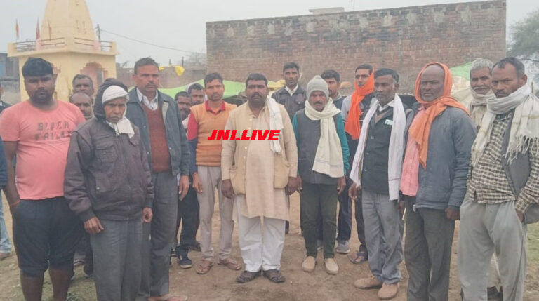 पशु आहार खाने से पांच भैसों की मौत, कई बीमार