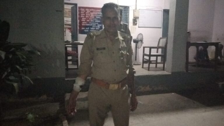 बंदरों ने हमला कर दारोगा को किया घायल