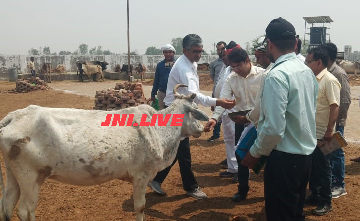 गौवंश आश्रय स्थल में भूसा भंडारण के निर्देश