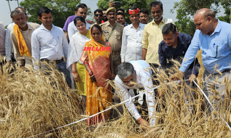 क्रॉप कटिंग से परखी गेंहू की फसल की उत्पादन क्षमता