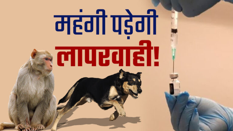 कुत्ता-बंदर काटने पर 24 घंटे के भीतर एंटी रेबीज इंजेक्शन जरूरी
