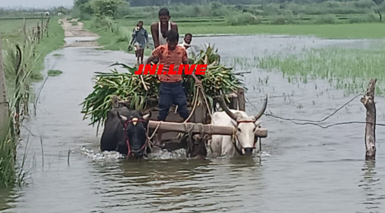 गंगा में उफान, खतरे के निशान से 50 सेमी. दूर