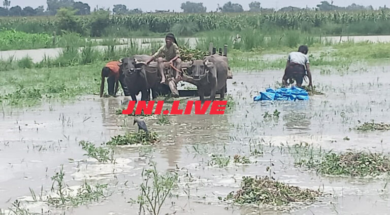 गंगा खतरे के निशान से 70 सेंटीमीटर दूर, बाढ़ से फसले जलमग्न
