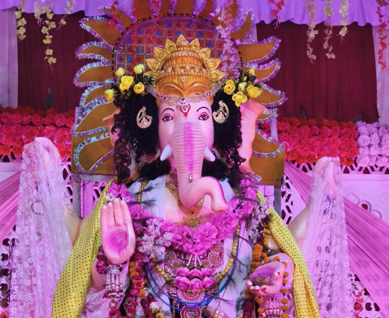 घर-घर में विराजे विघ्नहर्ता गौरी पुत्र गजानन