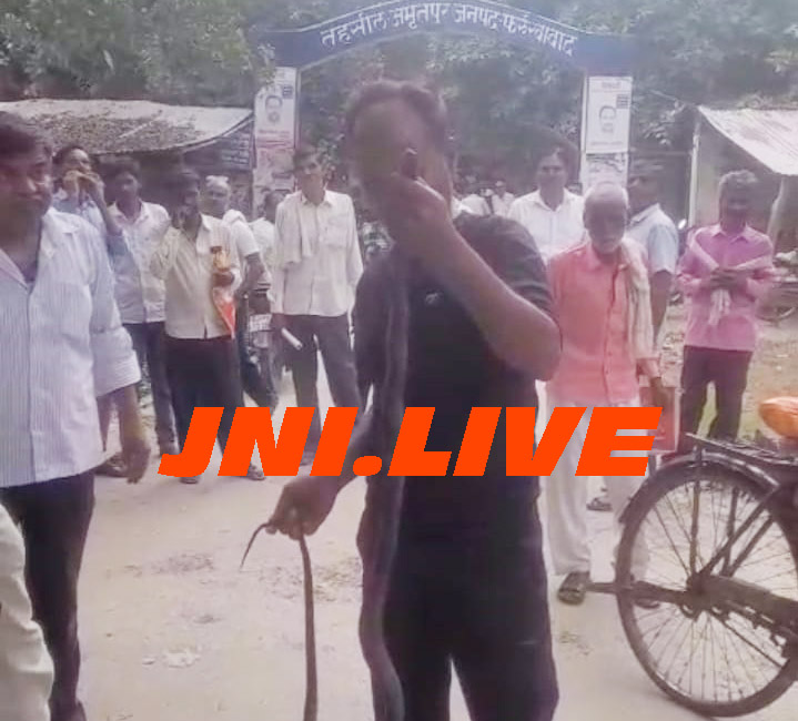 तहसील में निकला विशाल कोबरा, मचा  हड़कंप