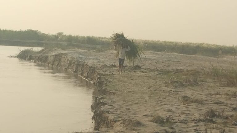 गंगा के तेज कटान से हजारों बीघा कृषि योग्य भूमि कटी
