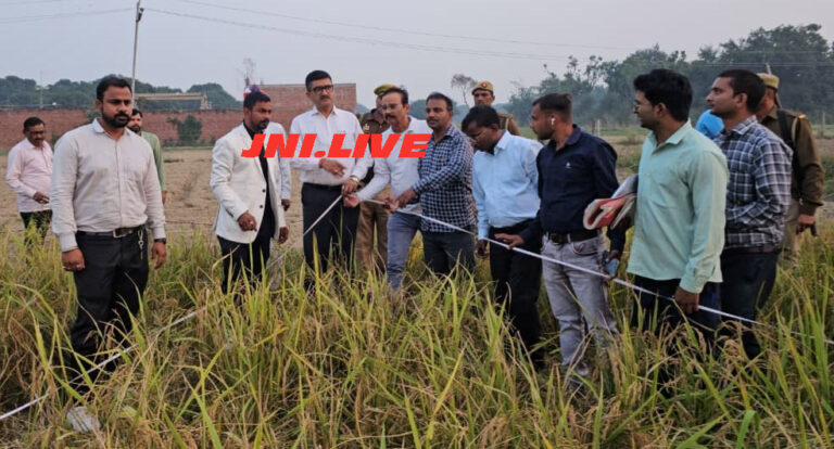 क्राॅप कटिंग के माध्यम से डीएम ने जानी धान की औसत उत्पादकता