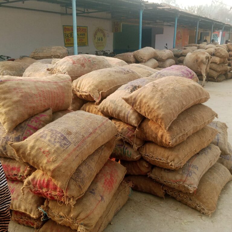 आलू बाजार में मंदी के बीच आज के भाव स्थिर, 500 पैकेट की आवक