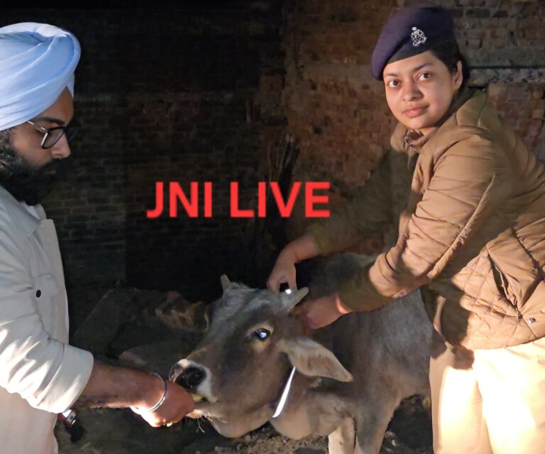 गायों व कुत्तों को पहनायी रेडियम बेल्ट