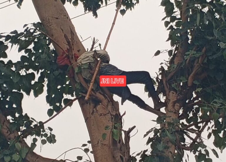 हाई टेंशन लाइन की चपेट से वृद्ध चरवाहे की मौत, परिवार में मचा कोहराम