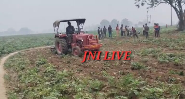 मंडी में मंदी का असर, किसान ने आलू की खड़ी फसल जोती