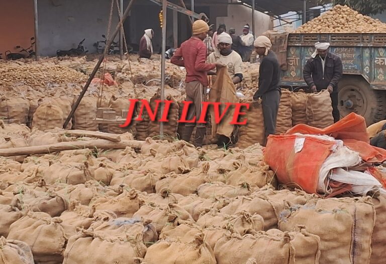 सातनपुर आलू मंडी में भावों में उछाल, आढ़तियों की बैठक में भुगतान व भाव खोलने का समय तय