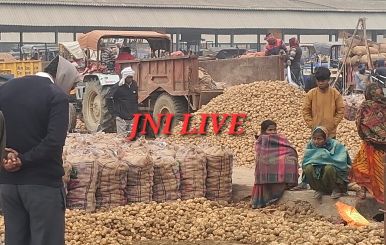 आवक कम, आलू के दामों में उछाल, 50 रुपये प्रति कुंतल की तेजी