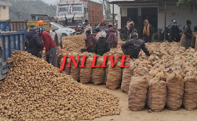 सातनपुर मंडी में आलू की भारी आवक, भाव में मंदी से किसान परेशान