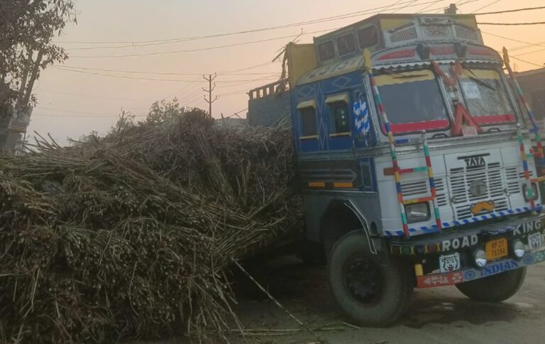 ओवरलोड गन्ना लदे ट्रक की बॉडी फटी, बड़ा हादसा टला