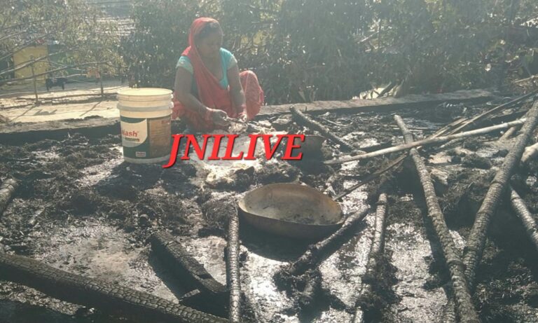 झोपड़ी में लगी भीषण आग, गृहस्थी राख