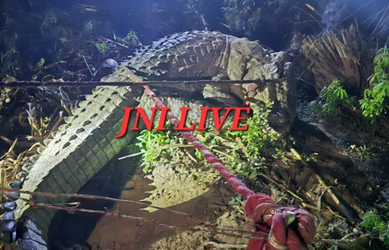 गंगा से निकला 12 फीट लंबा मगरमच्छ, चार घंटे की मसक्कत के बाद पकड़ा