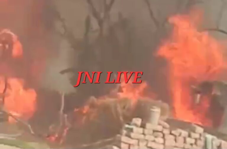 मधुमक्खी भगाने को जलाई आग, झोपड़ी जलकर राख