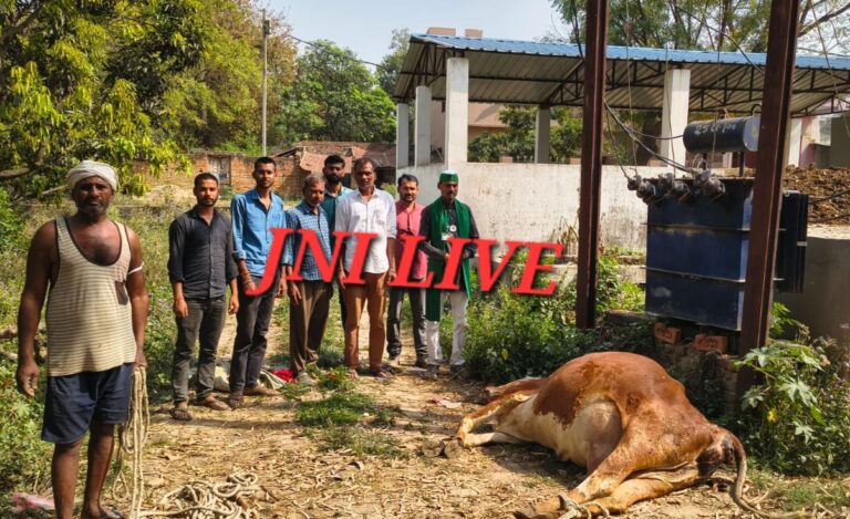 खुले ट्रांसफार्मर से करंट लगने पर गाय की मौत, किसान ने विभाग पर साधा निशाना