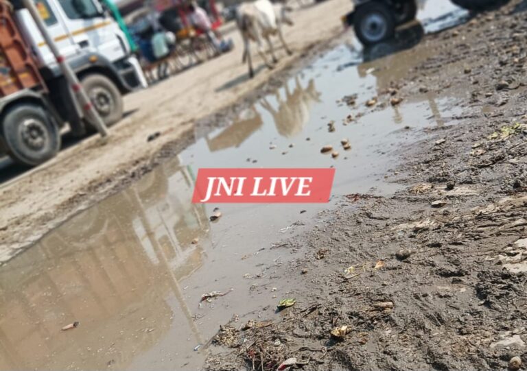 आलू मंडी में गंदगी से उठी बदबू, लोगों का जीना हुआ दूभर
