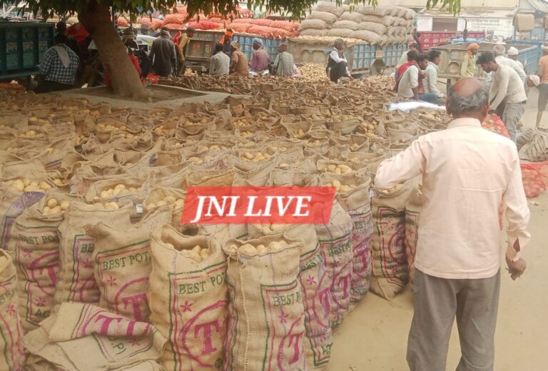 सातनपुर आलू मंडी में उछाल: आमद दोगुनी, फिर भी 100 रुपये प्रति क्विंटल बढ़े भाव