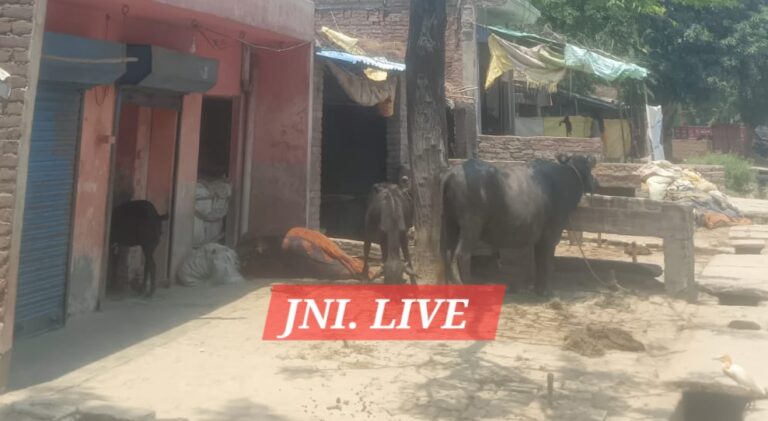 चाचूपुर जटपुरा में भारी फोर्स तैंनात, घरों में लटक रहे ताले, सड़क पर सन्नाटा