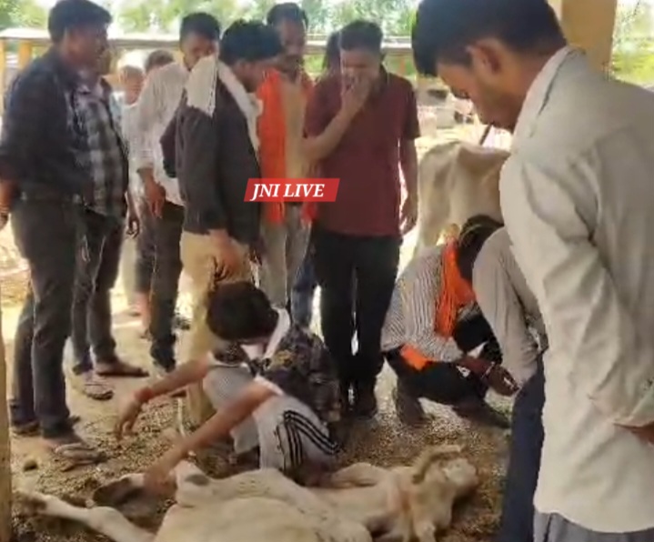 गौशाला की बदहाल व्यवस्था पर भड़का हिंदू रक्षा दल, डीएम से जांच की मांग