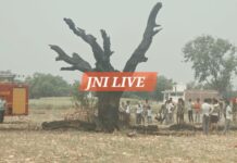 मक्का का अवशेष जलाने से भड़की आग, धू-धू कर जला आम का पेड़