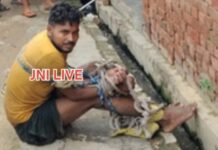 मानसिक रूप से अस्वस्थ बेटे ने ईंट से कूंचकर मां की हत्या, बहन को भी पीटा