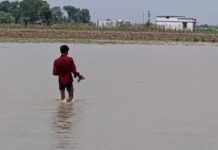गंगा का जलस्तर बढ़ने से राजेपुर क्षेत्र के 20 गांव बाढ़ की चपेट में, फसलें जलमग्न