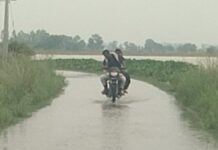 गंगा की बाढ़ से अमृतपुर क्षेत्र में जनजीवन प्रभावित, सड़कों पर बह रहा पानी