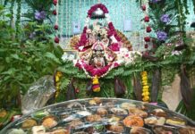 मंदिरों में धूमधाम से मनाया गया श्री राधा रानी का प्राकट्य उत्सव