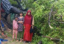 बारिश बनी आफत, कहीं सड़क पर गिरे पेड़ तो कहीं झोपड़ी पर गिरा नीम