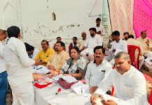 एमएलसी चुनाव:दोपहर 12 बजे तक स्नातक सीट पर 17.72 व शिक्षक सीट पर 36.01 प्रतिशत मतदान